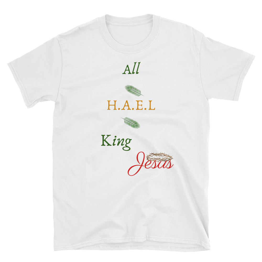 HAEL KING JESUS Unisex Tee