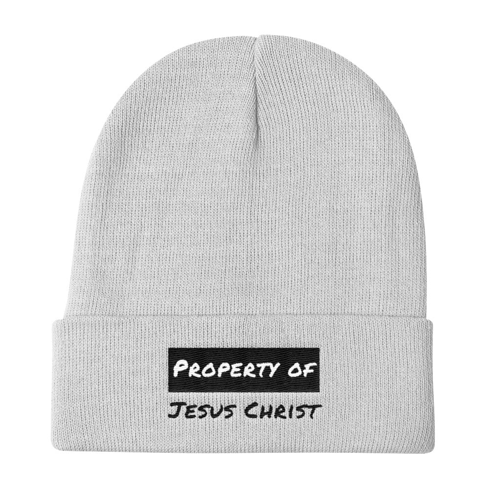 Property Knit Beanie