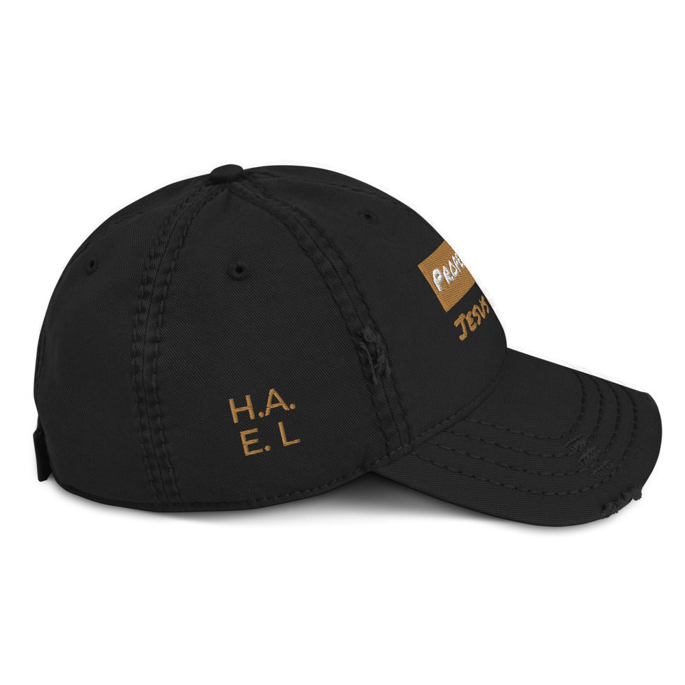 Property Distressed Dad Hat