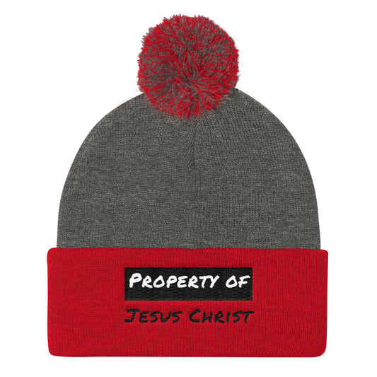 Property Pom Pom Knit Cap