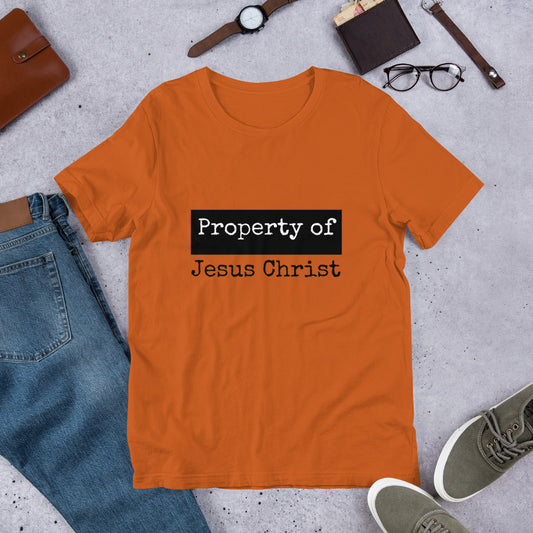 Property Unisex Tee