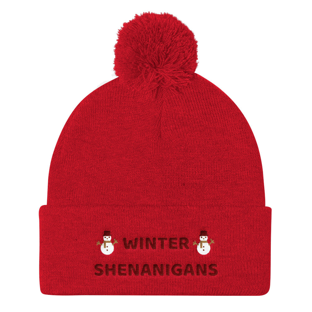 Winter Shenanigans Pom Pom Knit Cap