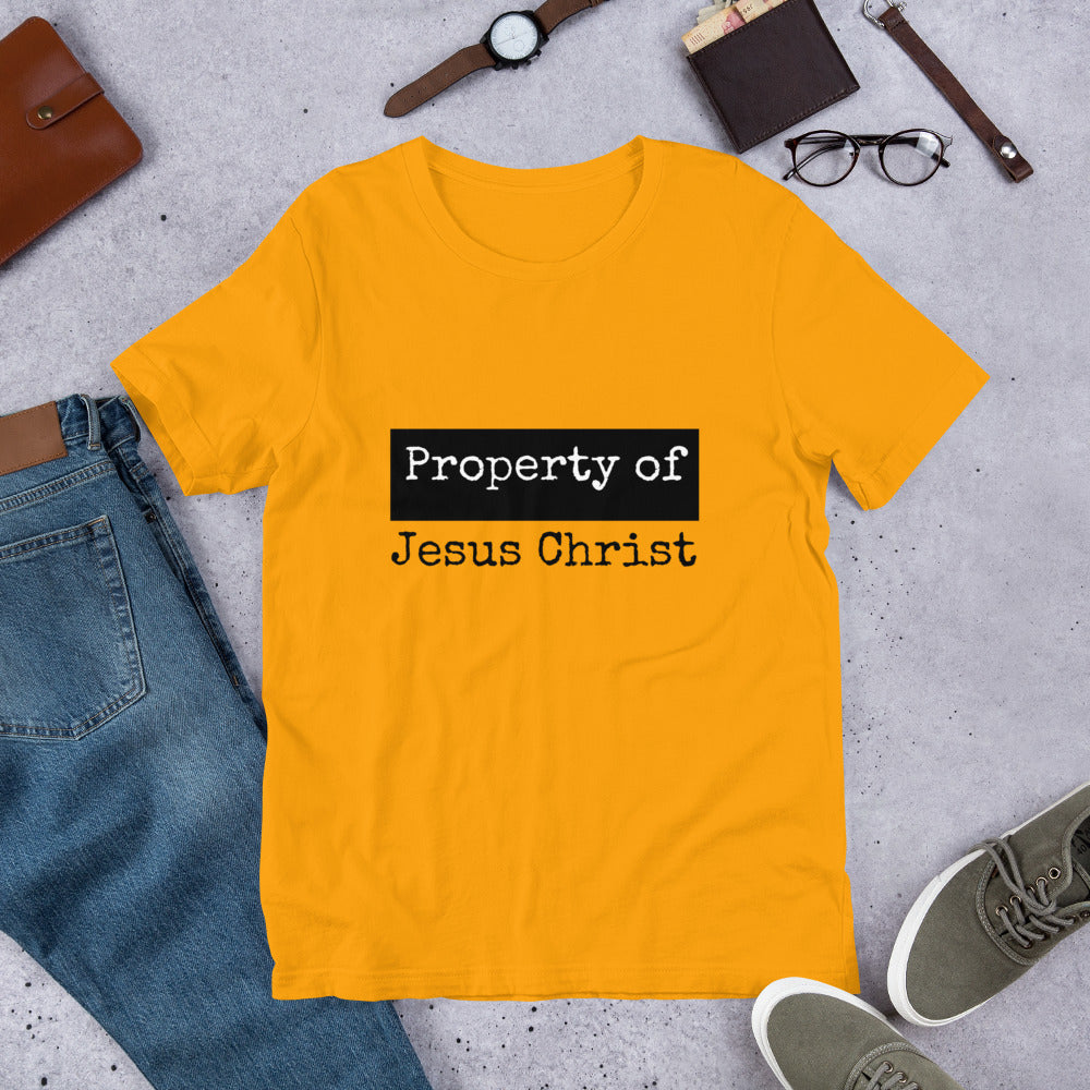 Property Unisex Tee