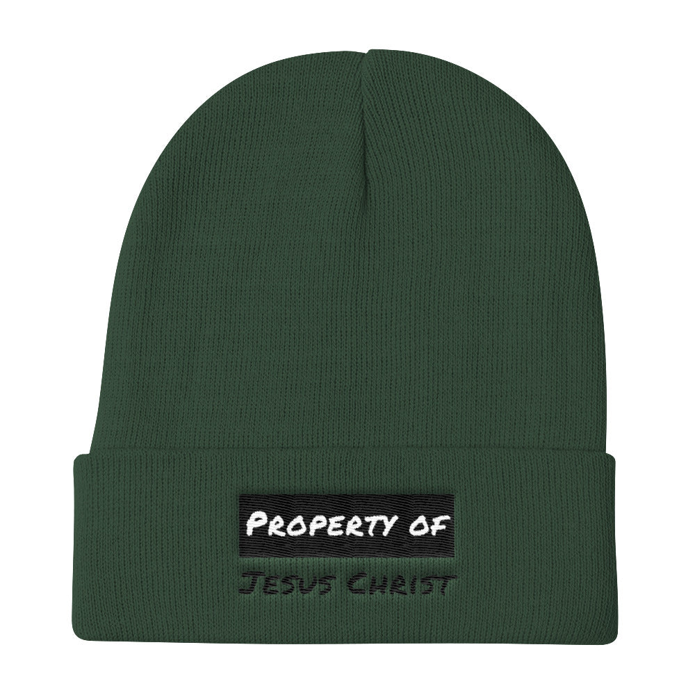 Property Knit Beanie