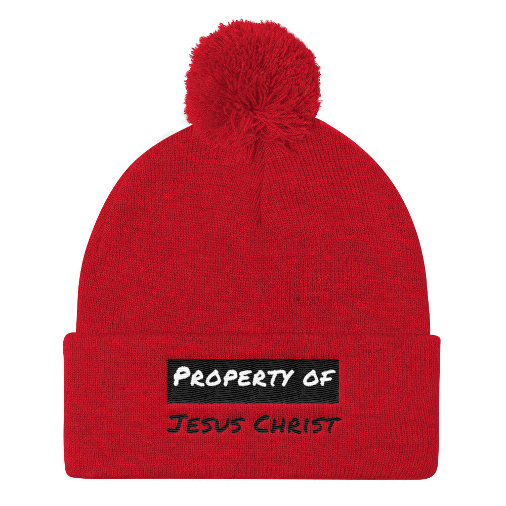 Property Pom Pom Knit Cap